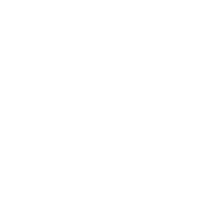 Optimizare Sisteme